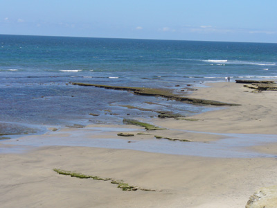 Tide Pools at Swamis Beach by Laura Moncur 04-24-06