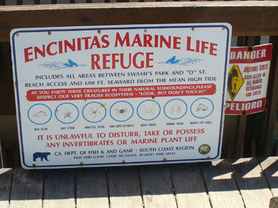 Marine Life Refuge by Laura Moncur 04-24-06