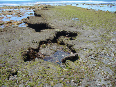 Tide Pool by Michael Moncur 04-24-06