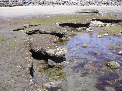 Tide Pool by Michael Moncur 04-24-06