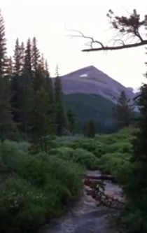 Camping in Pike National Forest Colorado from Starling Travel