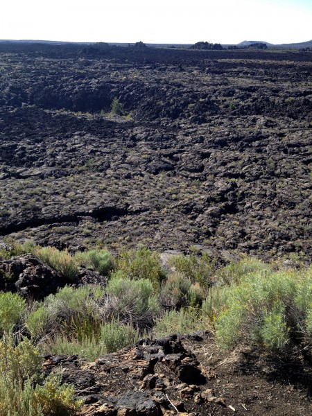 Craters of the Moon ID from Starling Travel