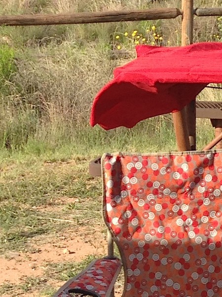 Dead Horse Ranch State Park AZ Windy from Starling Travel