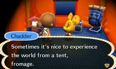 Animal Crossing New Leaf Camping Advice from Starling Travel