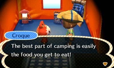 Animal Crossing New Leaf Camping Advice from Starling Travel