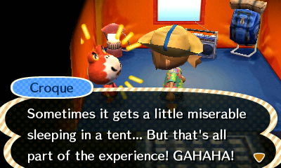 Animal Crossing New Leaf Camping Advice from Starling Travel