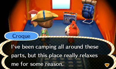 Animal Crossing New Leaf Camping Advice from Starling Travel