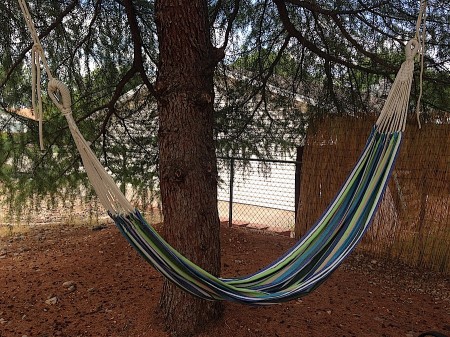 Relaxing Hammock in My Backyard from Starling Travel