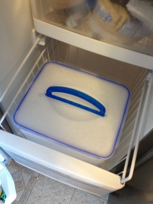 Snapware Ice Block in Freezer