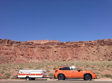 The Tangerine Turtle from Starling Travel