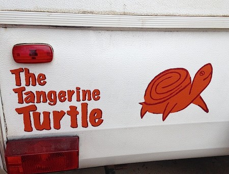 The Tangerine Turtle from Starling Travel