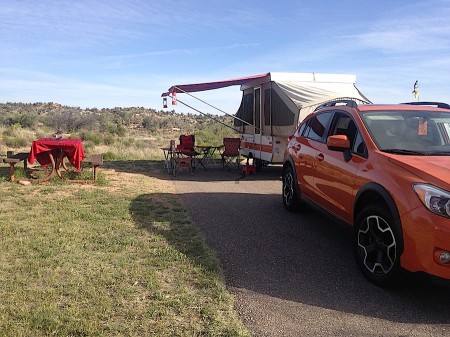 The Tangerine Turtle from Starling Travel