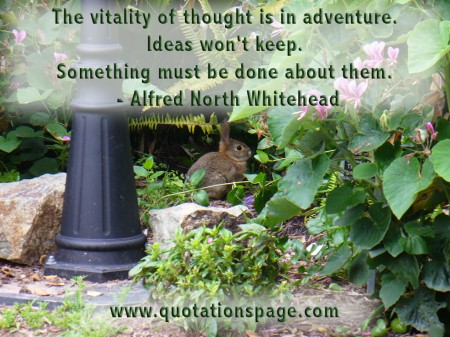 The vitality of thought is in adventure. Ideas won't keep. Something must be done about them. Alfred North Whitehead from The Quotations Page