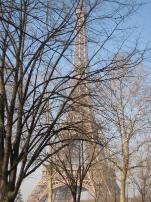 Eiffel Trees by Megan Wallent