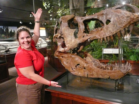 Here is me next to a T-Rex skull. T-Rex Skull at The Museum of the Rockies